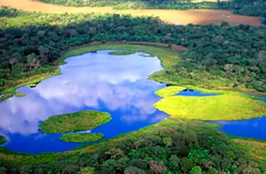 Importancia de los Humedales: Equilibrio Ecológico 