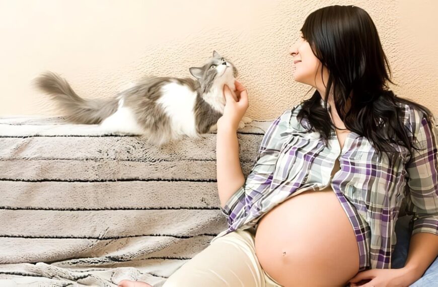 Infecciones en El Embarazo, Toxoplasmosis