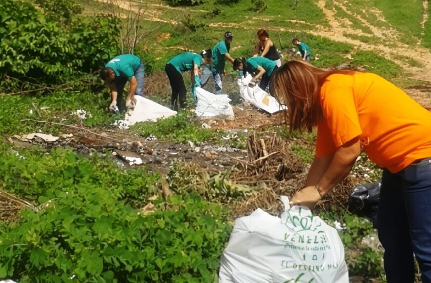 Saneamiento Ambiental