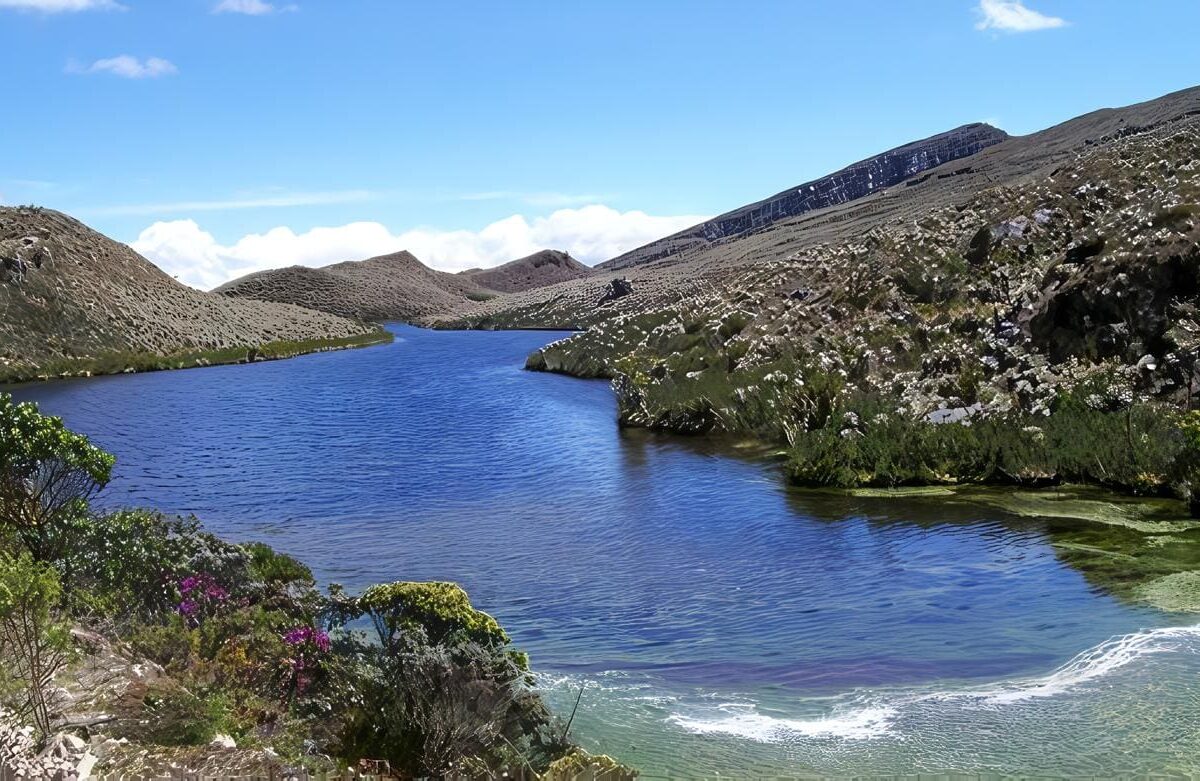 Metas Ambientales de Colombia