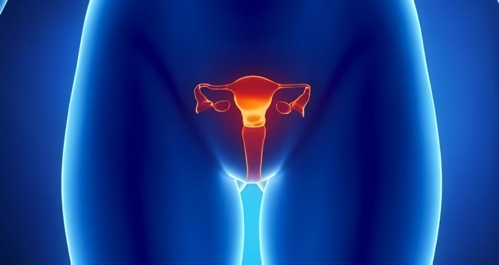 ¿Se Recomienda El Uso Profiláctico de Antibióticos cuando se realiza Revisión Manual de La Cavidad Uterina?