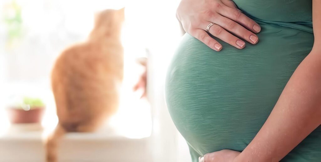 ¿Cuáles son Las Pruebas de Detección de Anticuerpos contra Toxoplasma Que Se deben solicitar en Primer Lugar?