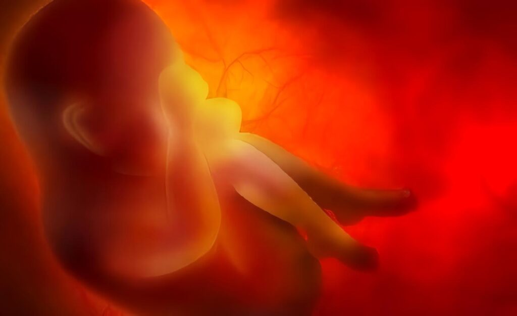 Sección 3. Infecciones en El Embarazo: Ruptura Prematura de Membranas (RPM)
