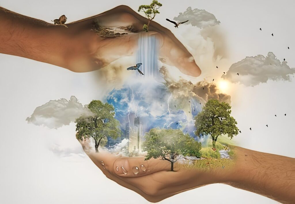 Protección del medio ambiente