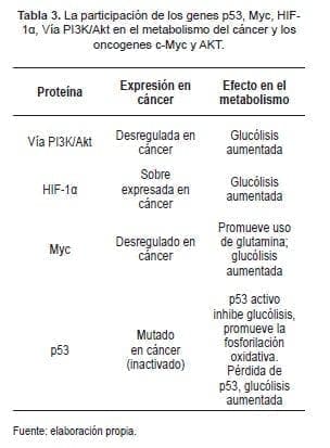 La participación de los Genes p53