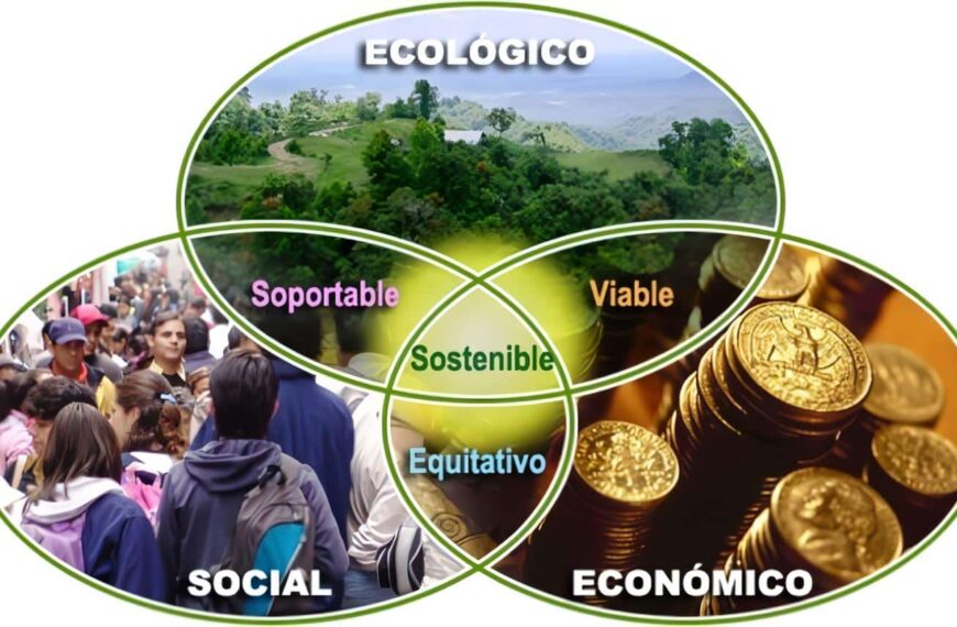 Desarrollo Sostenible - Educación Ambiental