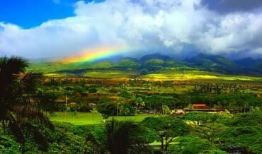 El Mundo y Universo Natural del Planeta