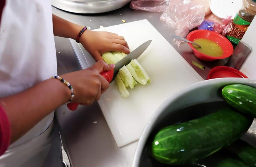 Guía de nutrición para pacientes con fibrosis quística