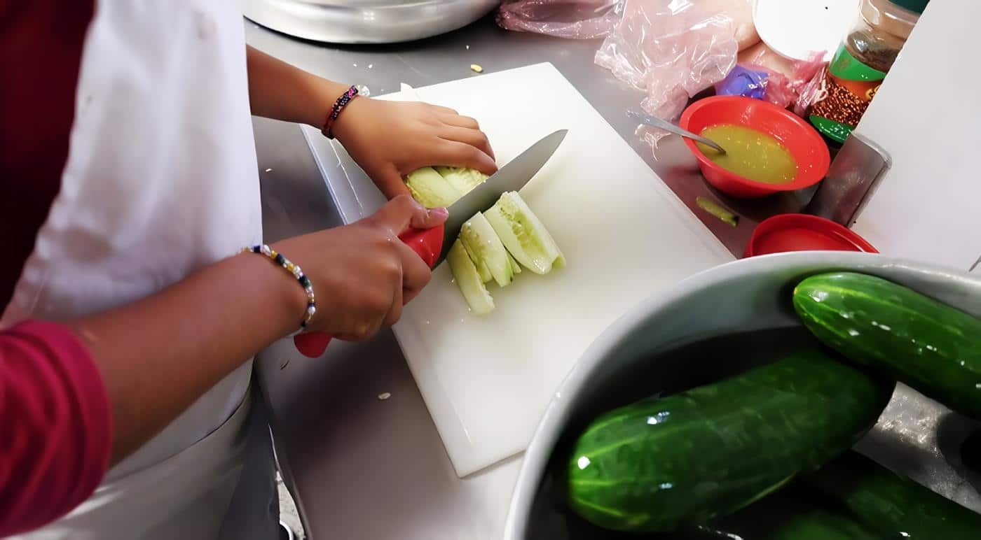 Guía de nutrición para pacientes con fibrosis quística