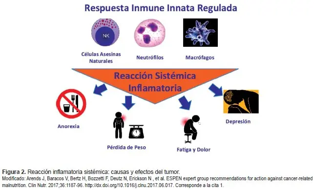 Reacción inflamatoria sistémica