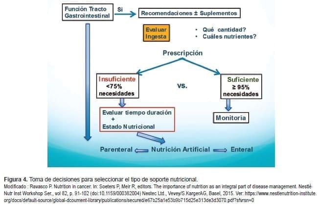 Seleccionar el tipo de soporte nutricional