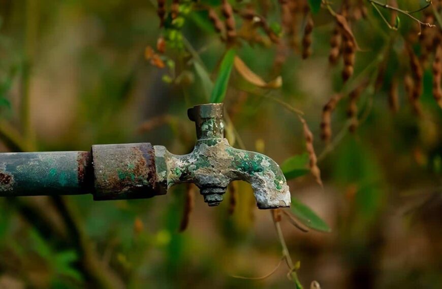 El Foco de la gestión ambiental