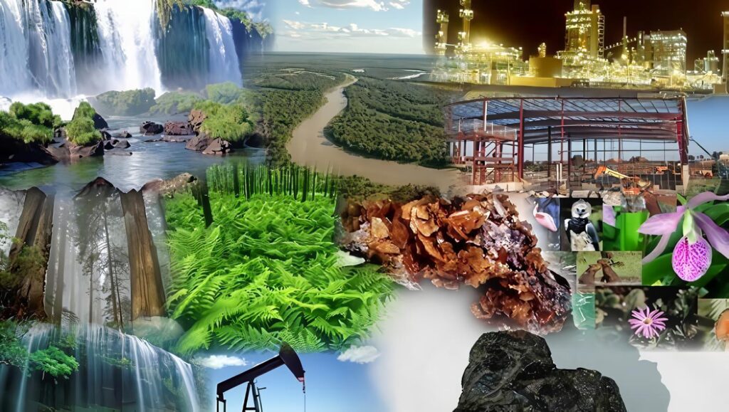 De los Delitos contra los Recursos Naturales y el Medio Ambiente