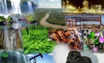 Delitos contra los recursos naturales y el medio ambiente