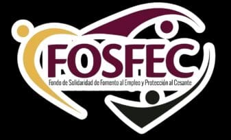 Fomento al Empleo y Protección al Cesante