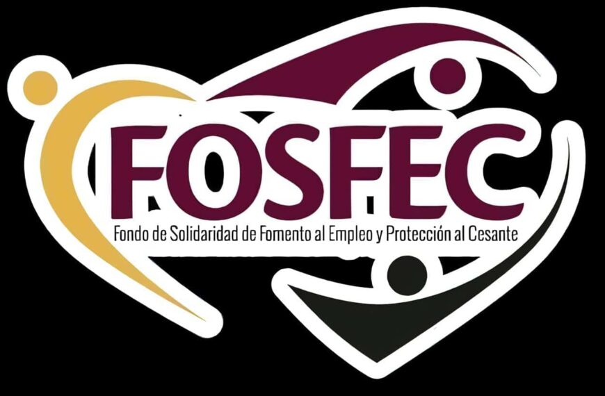 Fomento al Empleo y Protección al Cesante