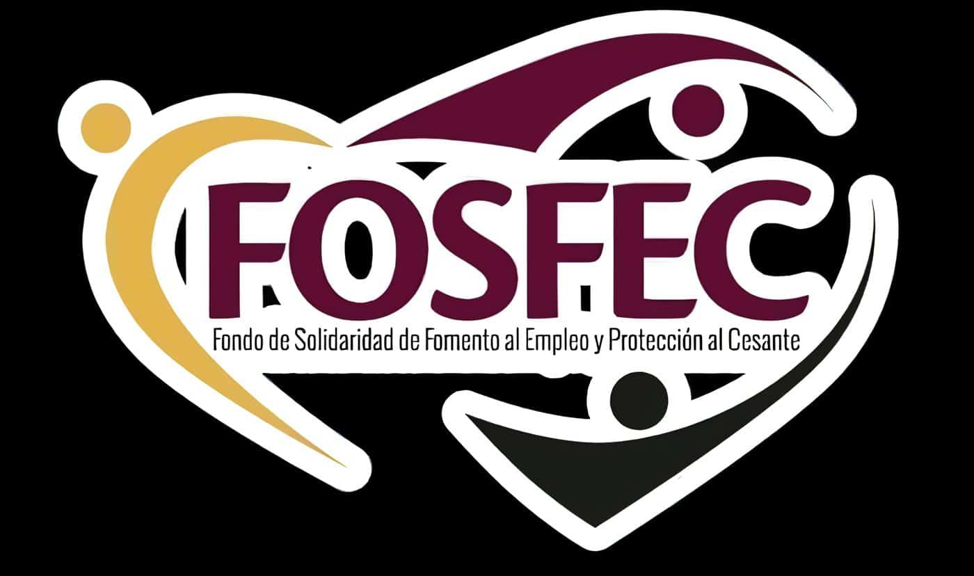 Fomento al Empleo y Protección al Cesante