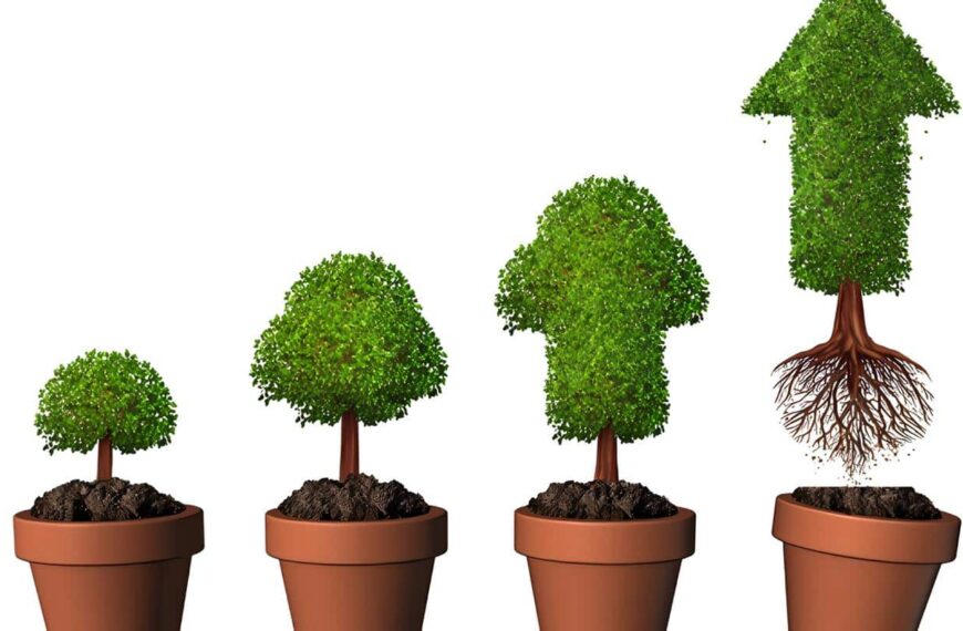 Sostenibilidad financiera e impacto económico