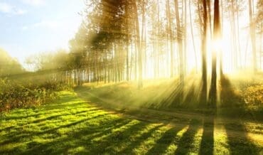 ¿Cómo Cuidar el Medio Ambiente?