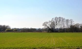 Ley de Víctimas y de Restitución de Tierras, Garantías de No Repetición