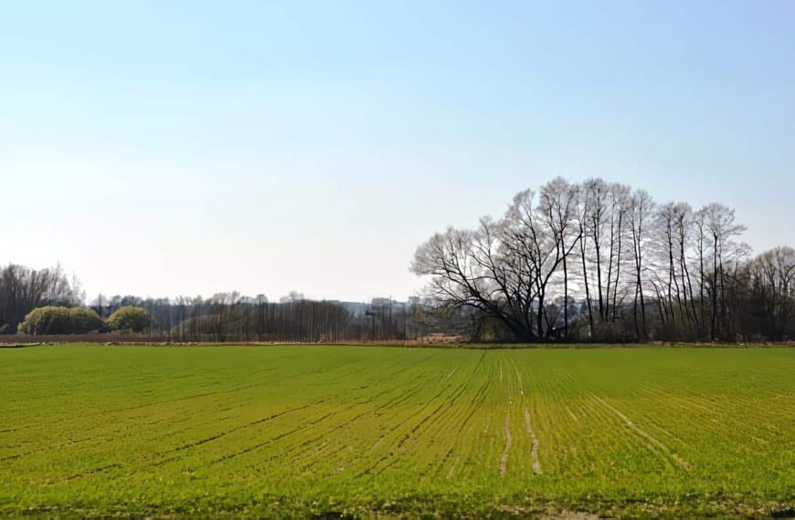 Ley de Víctimas y de Restitución de Tierras, Garantías de No Repetición