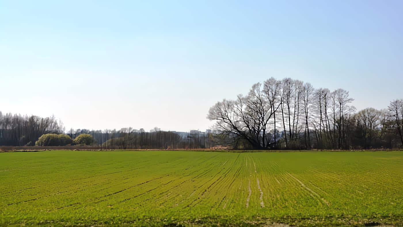 Ley de Víctimas y de Restitución de Tierras, Garantías de No Repetición