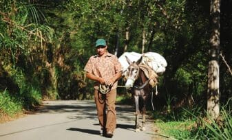 Sistema Nacional de Atención y Reparación Integral a las Víctimas