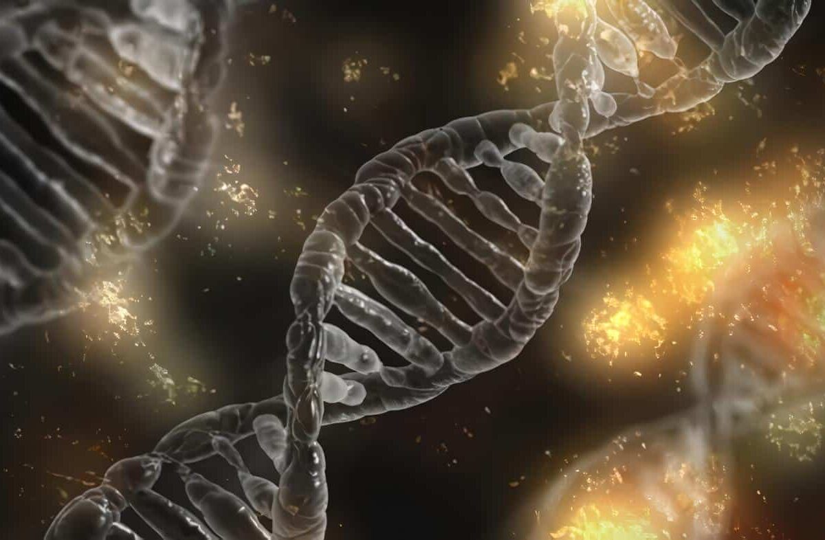 Endocrinología Molecular
