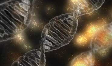 Endocrinología Molecular