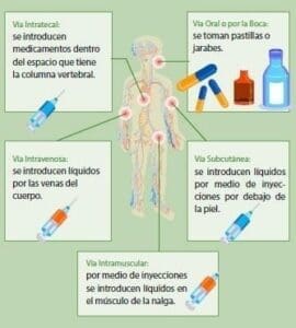 ¿Qué Es La Quimioterapia? - Tipos De Quimioterapia