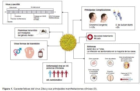 Características del virus Zika