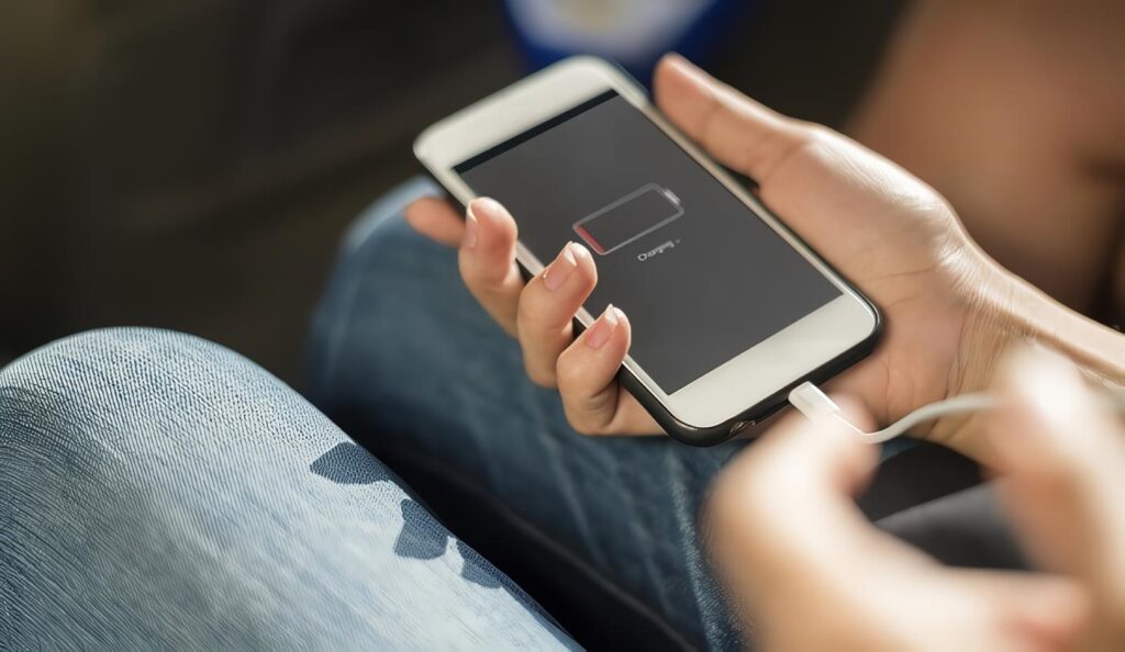 Tecnologías de La Información y Las Comunicaciones, Disposiciones Técnicas