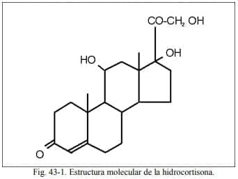 Estructura molecular de la hidrocortisona