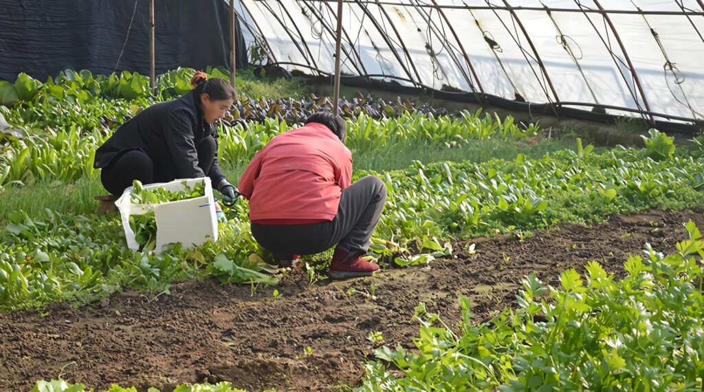 Aplicación de las Medidas de Salvaguardia Bilaterales