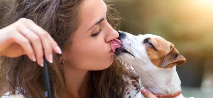 besar a las mascotas