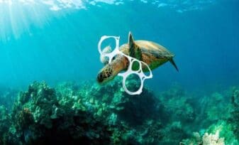 cómo afecta el plástico al medio ambiente