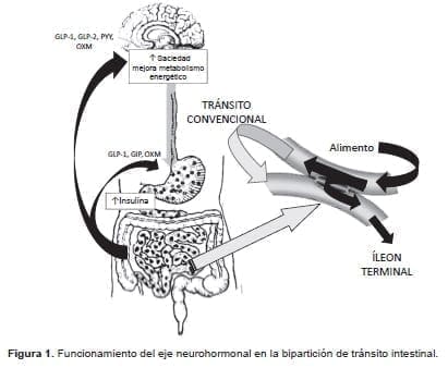 Funcionamiento del eje neurohormonal