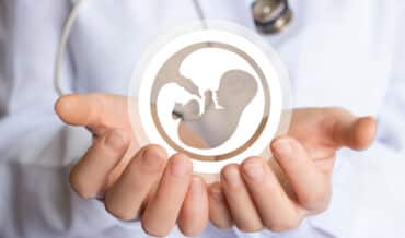 Adopción Embrionaria In Útero