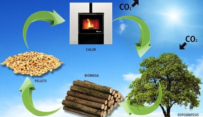 Energía de Biomasa