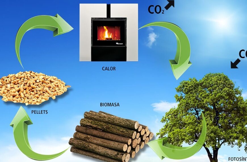 Energía de Biomasa