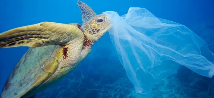 Impacto Ambiental de las Bolsas de Plástico