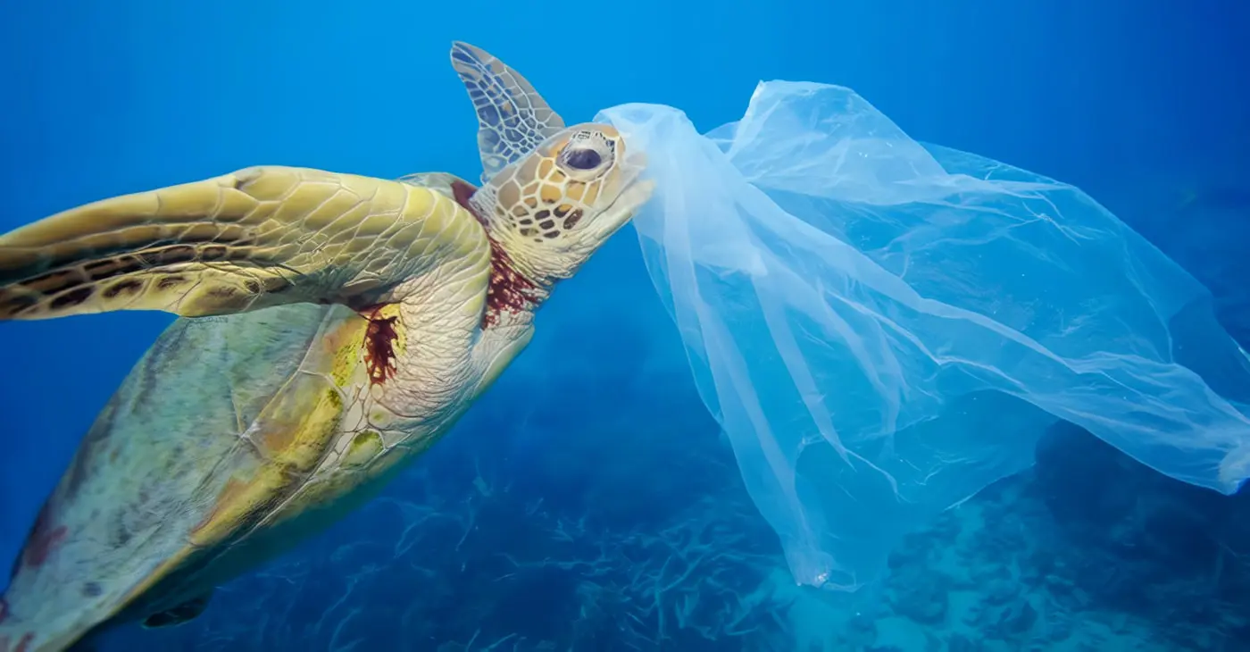 Impacto Ambiental de las Bolsas de Plástico