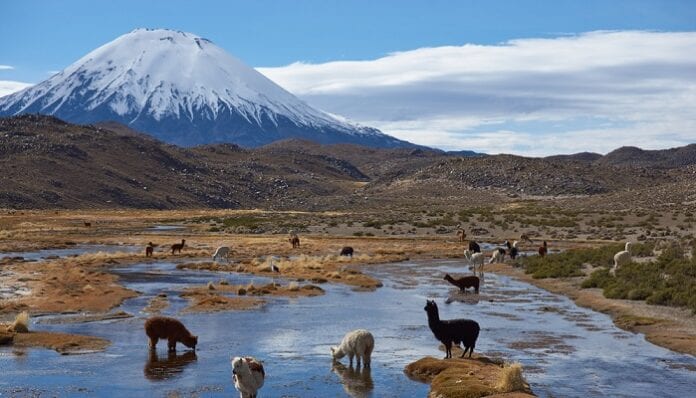 Parques Naturales en Chile