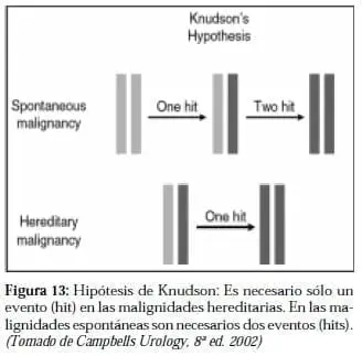 Hipótesis de Knudson