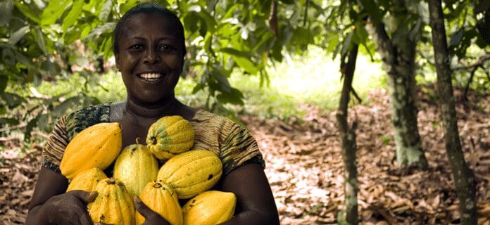 Agroindustria colombiana