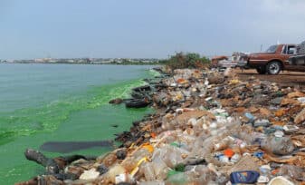 Contaminación del Suelo