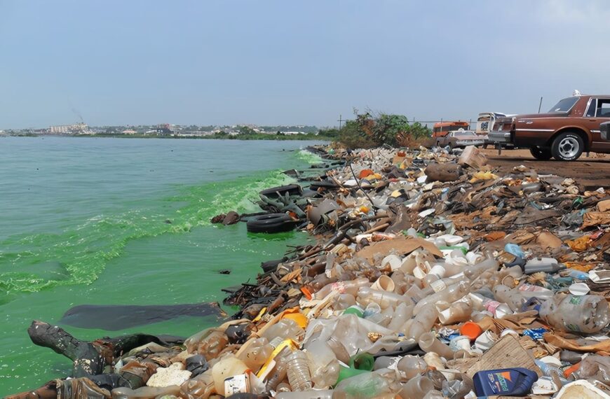 Contaminación del Suelo