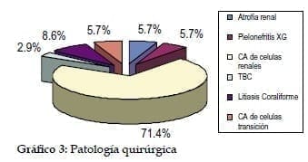 Nefrectomía Radical Laparoscópica: Patología Quirurgica, Gráfico