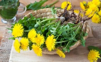 Plantas Medicinales | Beneficios de plantas para la Salud