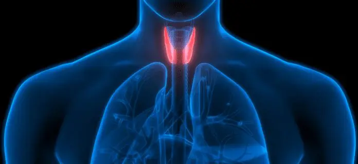 Hipotiroidismo, Guía de Salud